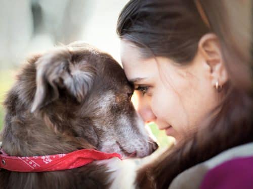 A lady with her best friend, contemplating at-home pet euthanasia with Time2SayGoodbye.