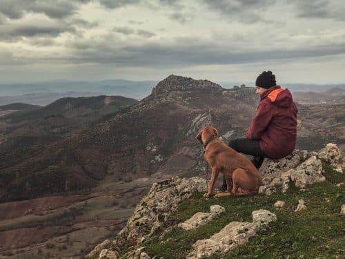 Man on a mountain peak with his old dog, considering pet euthanasia withTime2SayGoodbye.