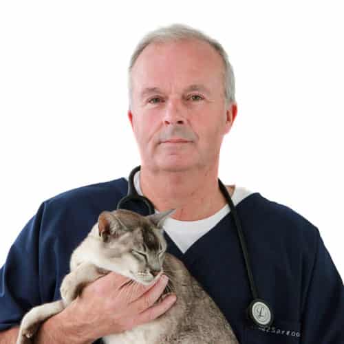 Veterinary surgeon Dr Nigel Bradfield. Director at Time2SayGoodbye.
